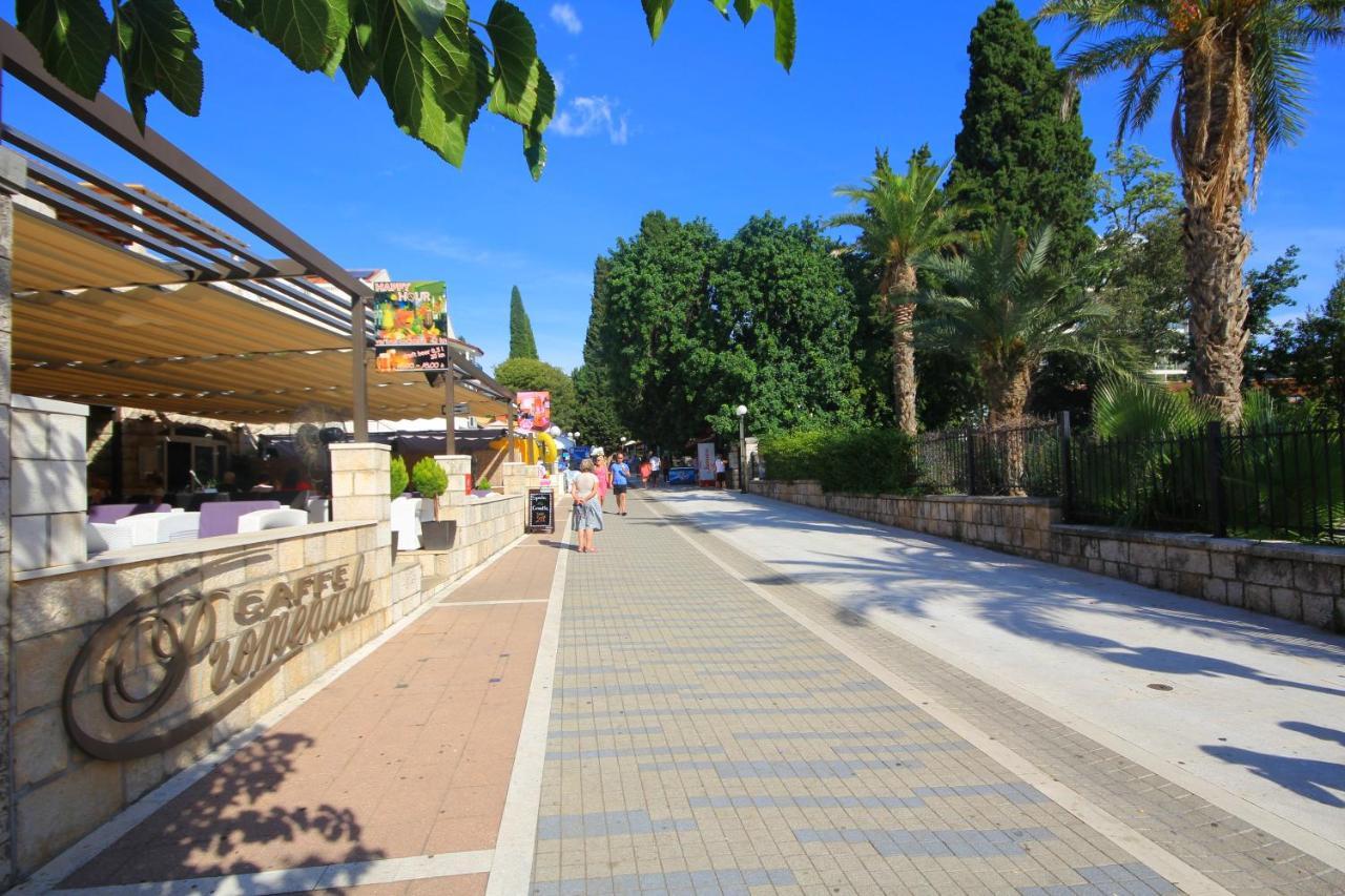 Guest House Vila Micika دوبروفينك المظهر الخارجي الصورة